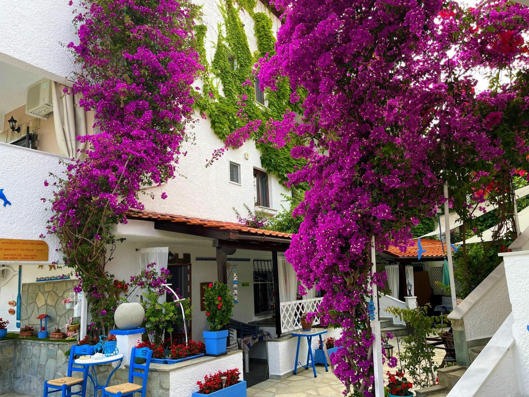 Haus Niko Apartments And Suites Nea Poteidaia Esterno foto
